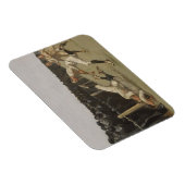 Touchdown, Yale vs Princeton, Erntedank Day, Magnet (Rechte Seite)