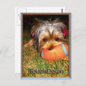TouchDown Yorkie Postkarte (Vorne/Hinten)