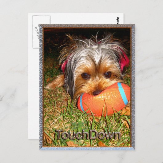 TouchDown Yorkie Postkarte (Vorne/Hinten)