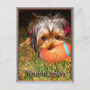 TouchDown Yorkie Postkarte