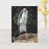 Tough Old Bird Birthday Card Karte (Gelbe Blume)