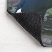 Toukan Mousepad (Ecke)