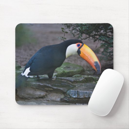 Toukan Mousepad (Mit Mouse)