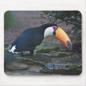 Toukan Mousepad (Vorne)