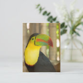 Toukan Postkarte (Stehend Vorderseite)