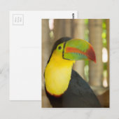 Toukan Postkarte (Vorne/Hinten)
