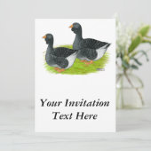 Toulouse Dewlap Geese Einladung (Stehend Vorderseite)