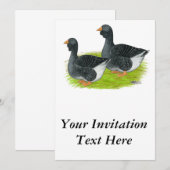 Toulouse Dewlap Geese Einladung (Vorne/Hinten)