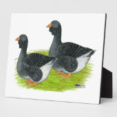 Toulouse Dewlap Geese Fotoplatte (Seite)