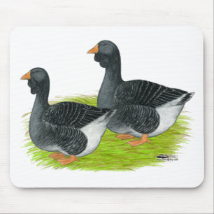 Toulouse Dewlap Geese Mousepad