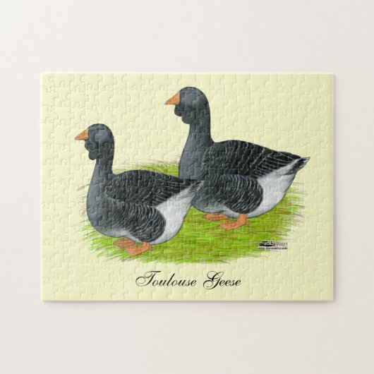 Toulouse Dewlap Geese Puzzle (Horizontal)