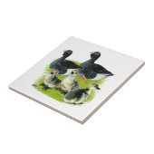 Toulouse-Gans-Familie Fliese (Seite)