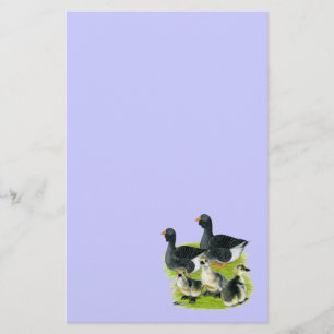 Toulouse Goose Family Briefpapier