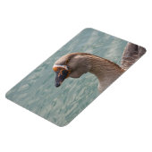 Toulouse Goose Magnet (Linke Seite)