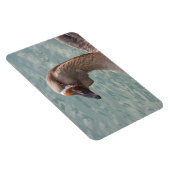 Toulouse Goose Magnet (Rechte Seite)