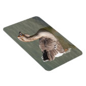 Toulouse Goose Magnet (Rechte Seite)