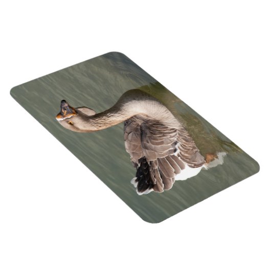 Toulouse Goose Magnet (Rechte Seite)