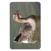 Toulouse Goose Magnet (Vertikal)