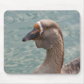 Toulouse Goose Mousepad (Vorne)