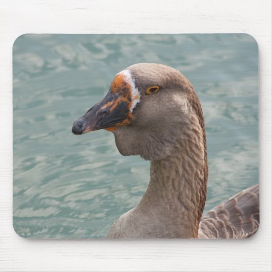 Toulouse Goose Mousepad (Vorne)