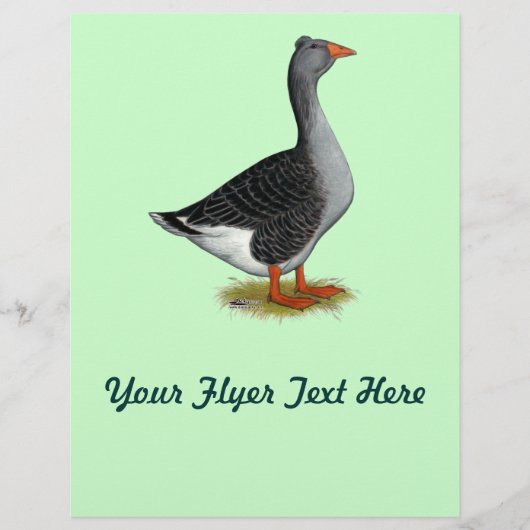 Toulouse Gose Tufted Flyer (Vorne)