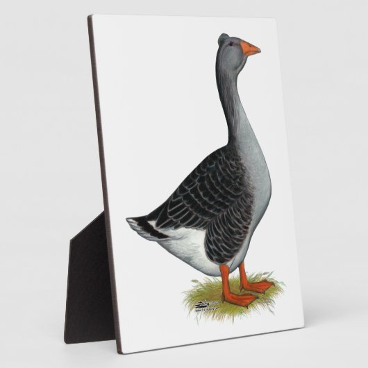 Toulouse Gose Tufted Fotoplatte (Seite)