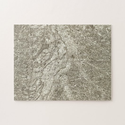 Toulouse Puzzle (Horizontal)