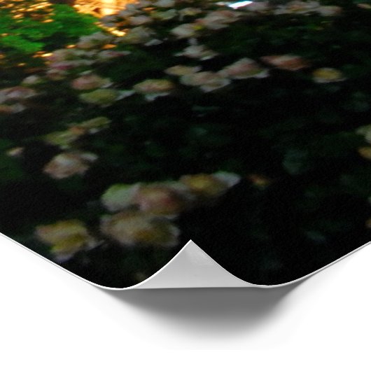 Tour Eiffel Poster (Ecke)