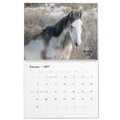 Touren mit Louise Kalender (Feb 2027)