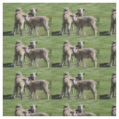 Touristen Stoff (Muster)