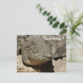 Touristen Willkommen !! - Krokodil - Postkarte (Stehend Vorderseite)