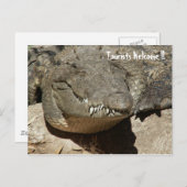 Touristen Willkommen !! - Krokodil - Postkarte (Vorne/Hinten)