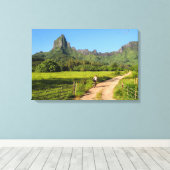 Touristenradfahren auf der Leinwand des tropischen (Insitu (Holzboden))