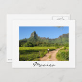 Touristenradfahren auf der weißen Postkarte von Mo (Vorne/Hinten)