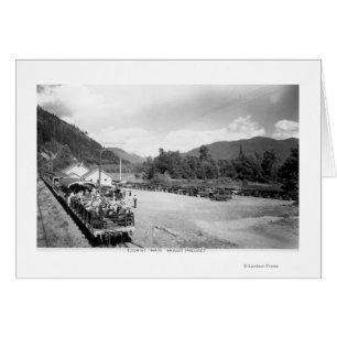 Touristenzug des Skagit-Projekts