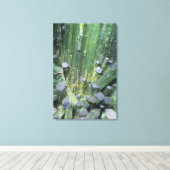 Tourmaline Elbite Kristalle auf Quartz Leinwanddruck (Insitu (Holzboden))