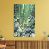 Tourmaline Elbite Kristalle auf Quartz Leinwanddruck (Insitu (Wohnzimmer))