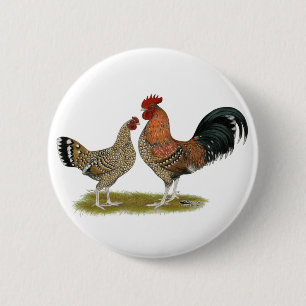 Tournaisis Bantams Button