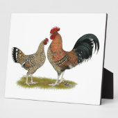 Tournaisis Bantams Fotoplatte (Seite)