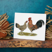 Tournaisis Bantams Fotoplatte (Seite)