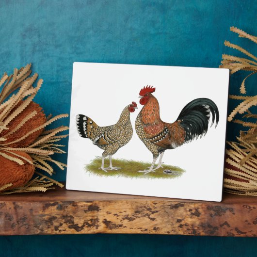 Tournaisis Bantams Fotoplatte (Seite)