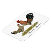 Tournaisis Bantams Magnet (Linke Seite)