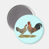 Tournaisis Bantams Magnet (Vorderseite/Rückseite)