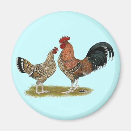 Tournaisis Bantams Magnet (Vorne)