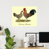 Tournaisis Bantams Poster (Heimbüro)