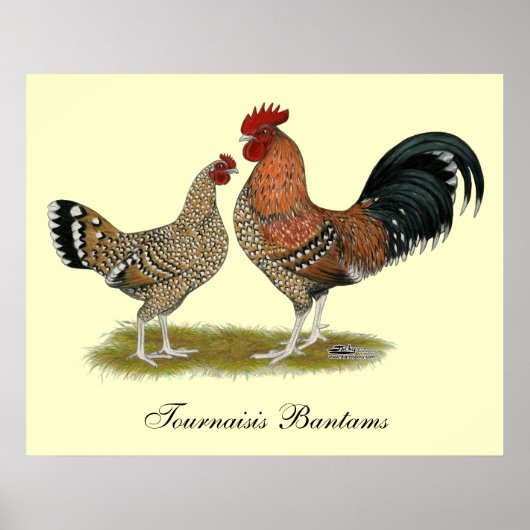 Tournaisis Bantams Poster (Vorne)