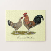 Tournaisis Bantams Puzzle (Horizontal)