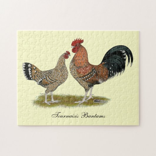 Tournaisis Bantams Puzzle (Horizontal)