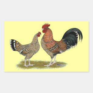 Tournaisis Bantams Rechteckiger Aufkleber