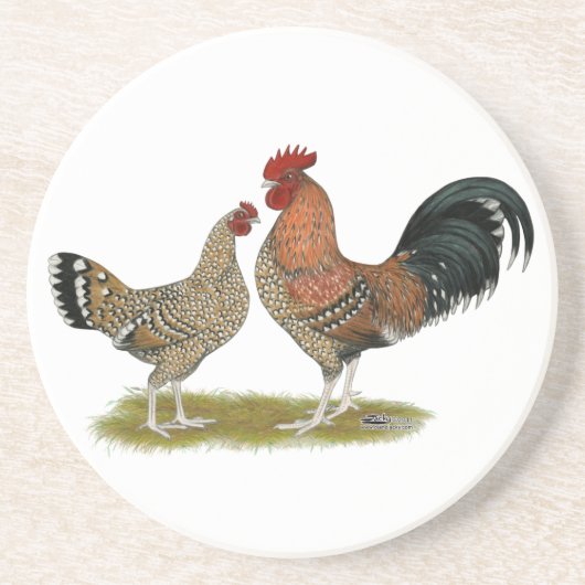 Tournaisis Bantams Sandstein Untersetzer (Vorne)